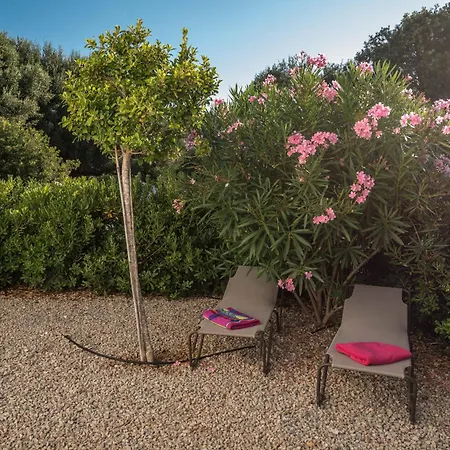 8, Pareado Con Jardin Y Piscina 度假居